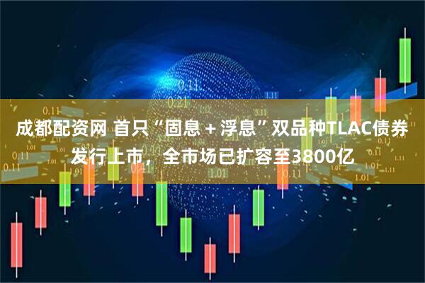 成都配资网 首只“固息＋浮息”双品种TLAC债券发行上市，全市场已扩容至3800亿