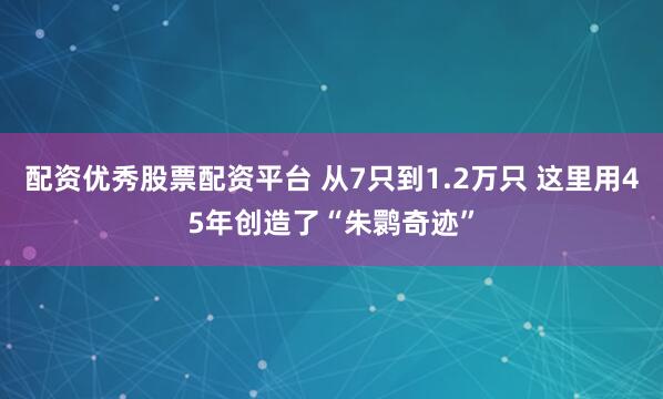 配资优秀股票配资平台 从7只到1.2万只 这里用45年创造了“朱鹮奇迹”